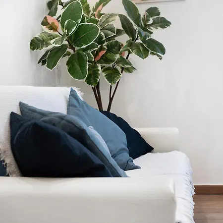 Rosa Dei Venti - Centro Storico * Varazze